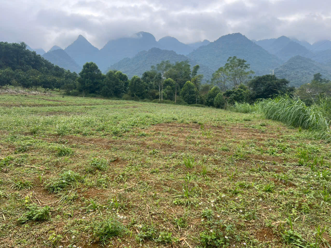 Cắt lỗ 4000M_200M thổ cư bám đường bê tông 75M_view núi thoáng đẹp Tân Lạc Hoà Bình_1,x tỷ - Ảnh chính